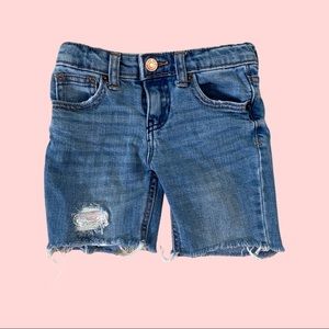 Cat and Jack size 4 long shorts